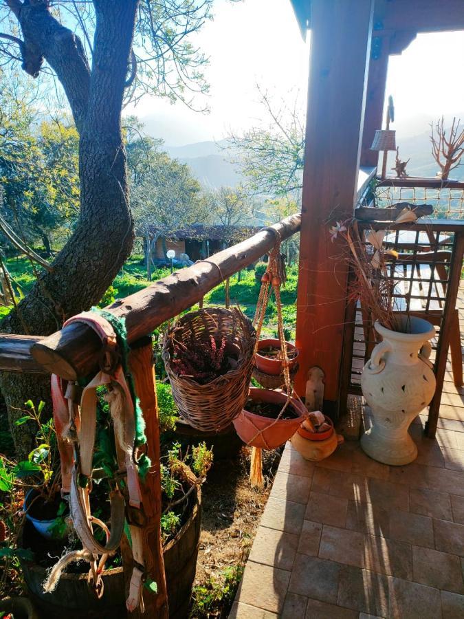 Room In Casa Castiglia A Woodhouse With Beautiful View Close Madonie Park Castelbuono  Exteriör bild